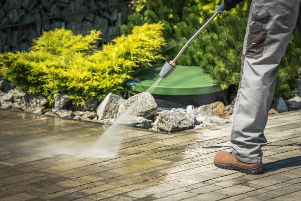 Best Spring Cleaning  in San Fernando, CA