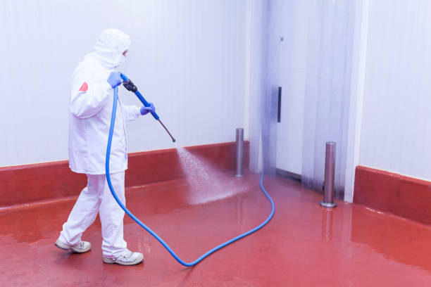 Best Residential Exterior Washing  in San Fernando, CA